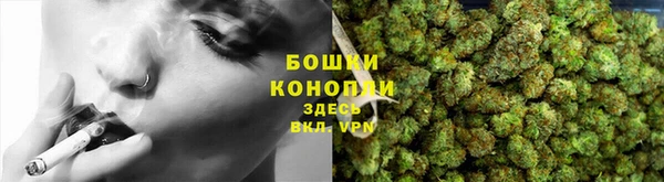 прущая мука Богданович