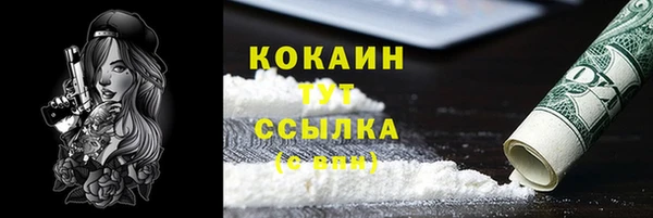 дурь Богородицк