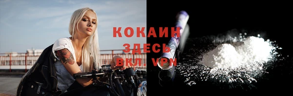 дурь Богородицк