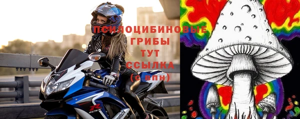 дурь Богородицк