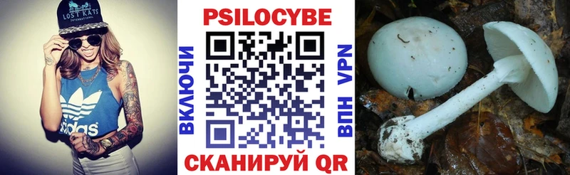 Галлюциногенные грибы MAGIC MUSHROOMS  Костерёво 