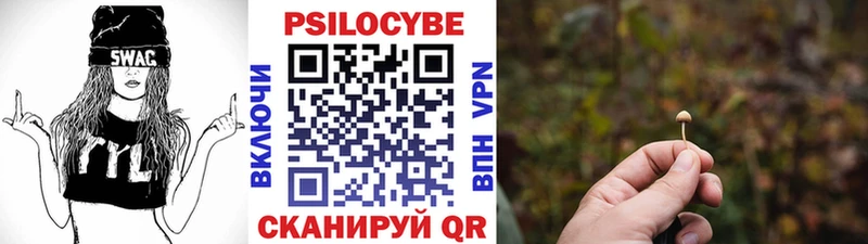 Галлюциногенные грибы MAGIC MUSHROOMS Костерёво